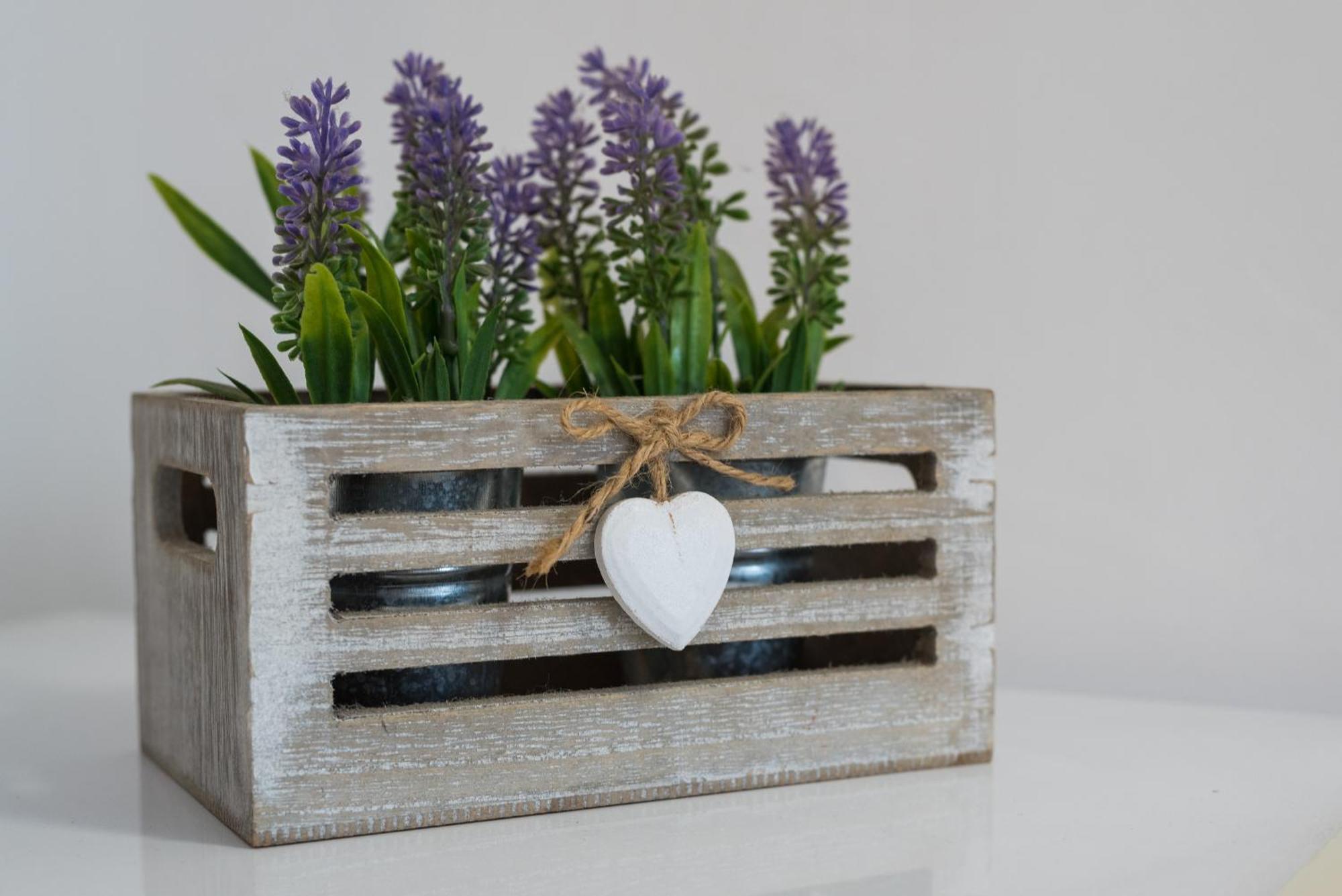 Travelershome Ciampino 170 Station Street Kültér fotó